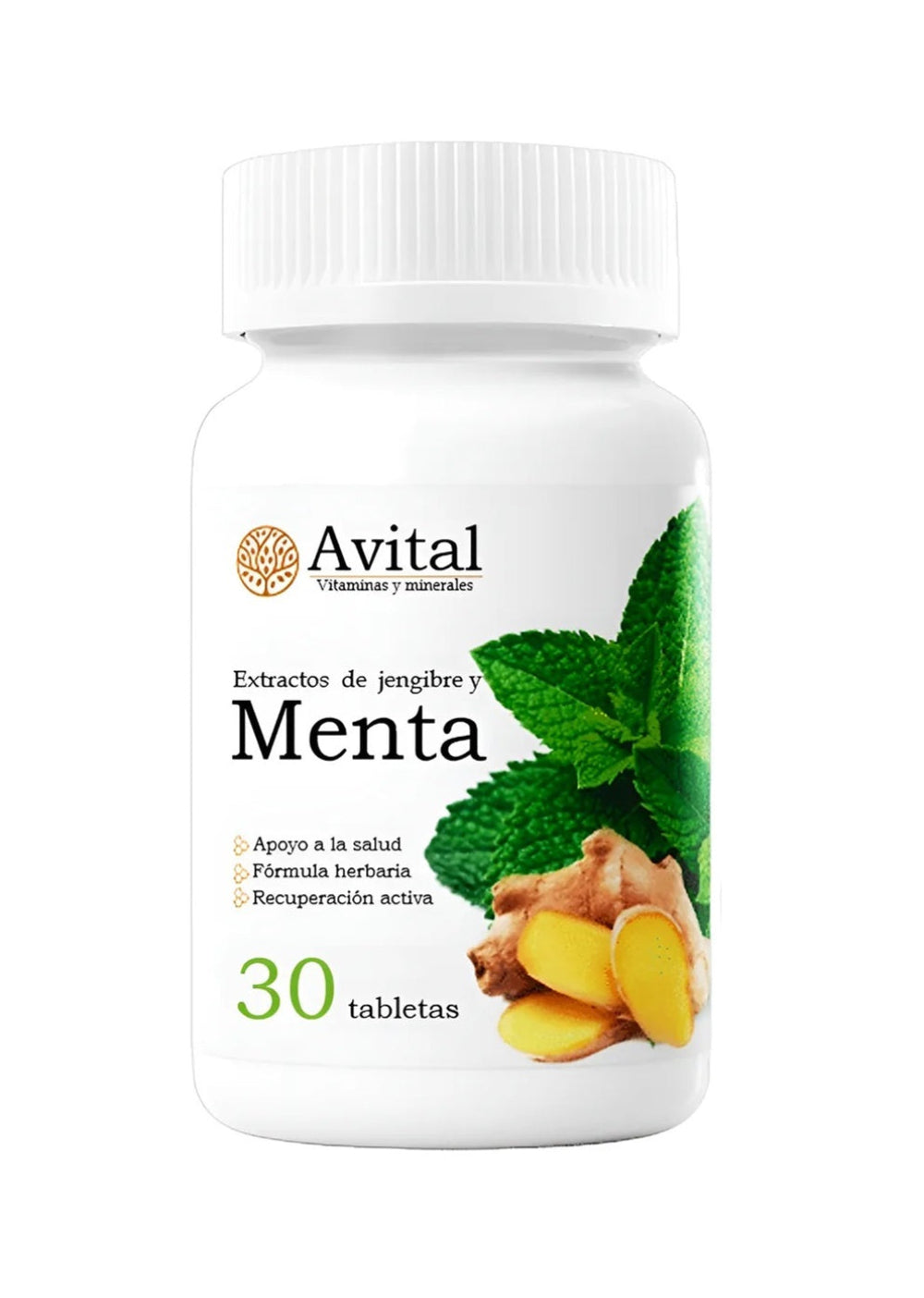 Avital Menta